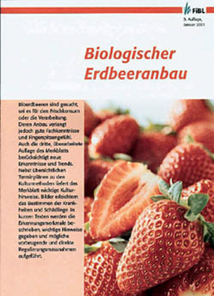 Biologischer Erdbeeranbau