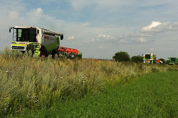 Three Ukrainian Combines (Brand: Claas) drive on an embankment along an acre.