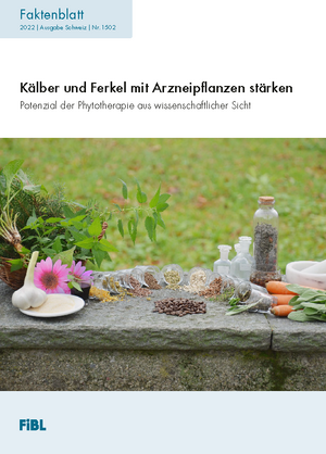 Kälber und Ferkel mit Arzneipflanzen stärken