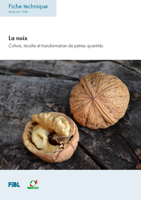 La Noix – Culture, récolte et transformation de petites quantités.