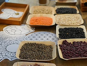 Auf Bambus-Tellern sind Samen und Bohnen in verschiedenen Farben schön angeordnet - Orange, Grün, Schwarz, Braun und Weiss. Darunter liegen aus Papier ausgeschnittene Mandalas.