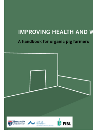 Improving health and welfare of pigs