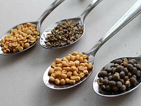 Spoons with lupin seeds