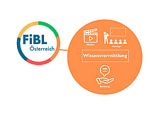 Grafik Wissensvermittlung