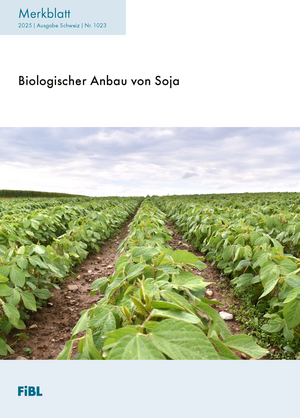 Biologischer Anbau von Soja