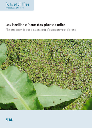 Les lentilles d’eau: des plantes utiles