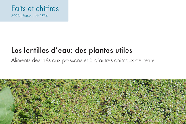 Cover: Les lentilles d’eau: des plantes utiles