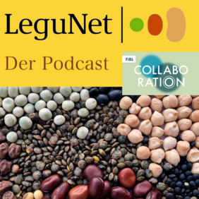 Verschiedene Leguminosen