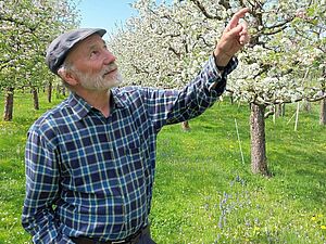 Otto Schmid points at blossoms in a flowering orchard