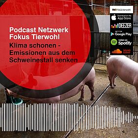 Cover Podcast Netzwerk Fokus Tierwohl „Klima schonen – Emissionen aus dem Schweinestall senken“