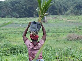 Frau trägt eine Palmpflanze auf dem Kopf gestützt