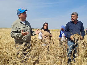 People in a grain field.