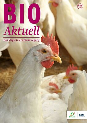 Cover der aktuellen Ausgabe