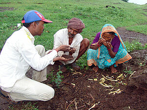 atelier sur la qualité du compost