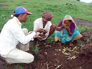 workshop on compost quality