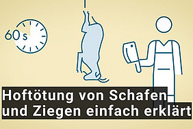 Thumbnail zum Video "Hoftötung von Schafen und Ziegen einfach erklärt".