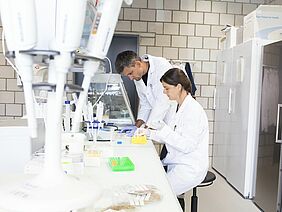 Researchers in the FiBL laboratory