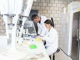 Deux chercheurs dans le laboratoire du FiBL