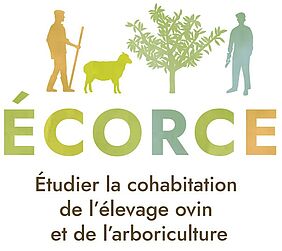 Logo Écorce