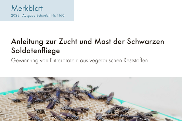 Cover: Anleitung zur Zucht und Mast der Schwarzen Soldatenfliege