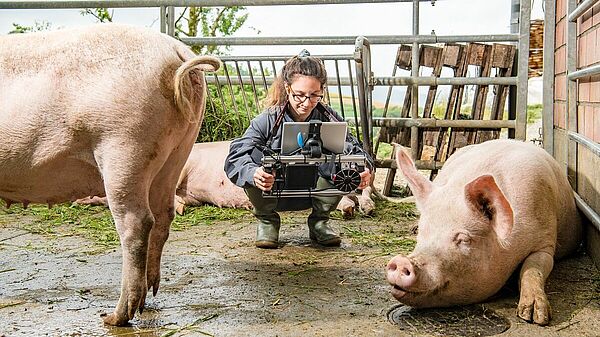 Forscherin im Schweinestall 