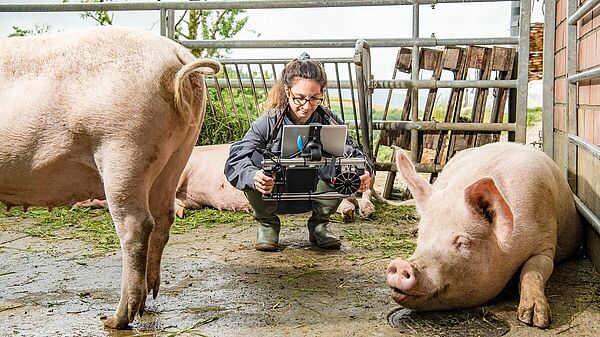 Female scientist in the pigsty