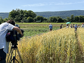 Kameramann filmt Menschen in einem Feld.