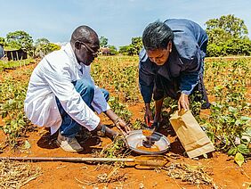 Collecting soil samples