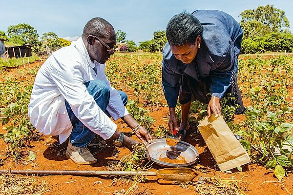 Collecting soil samples