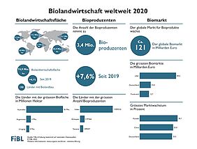 Infografik 2020 zum Biolandbau weltweit