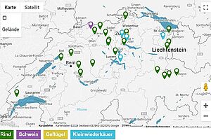 Google Maps Karte der Schweiz.