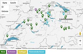 Google Maps Karte der Schweiz.