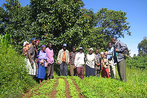 A group of people are looking at a field.