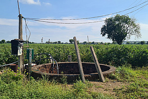 Ein alter Brunnen in einer grünen Landschaft.
