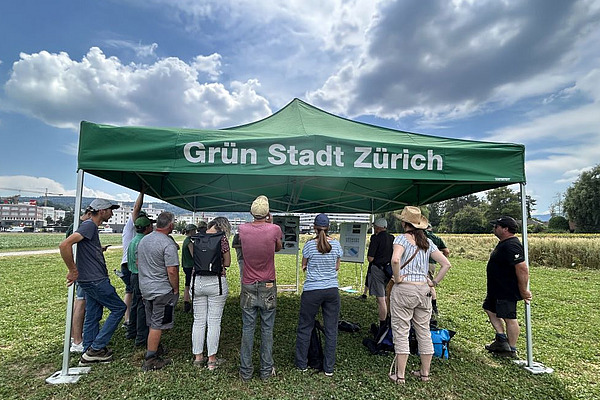 Gruppe Menschen auf einem Feld unter einem Zelt. 