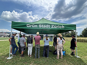 Gruppe Menschen auf einem Feld unter einem Zelt. 