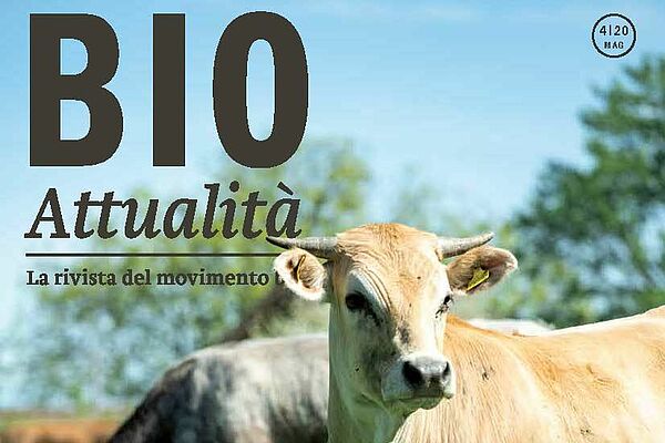 Cover Bioattualità 4/20