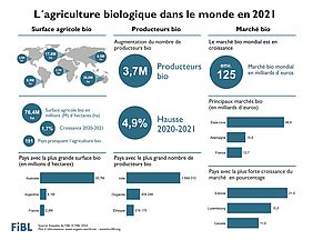 Infographique de l'agriculture biologique dans le monde en 2020