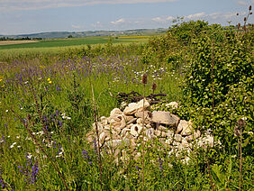 Steinhaufen in einer Blumenwiese