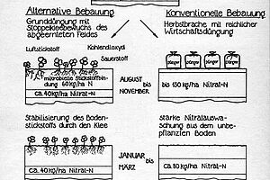 Poster of experimental results