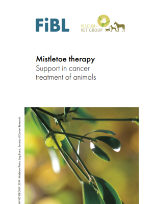 Mistletoe therapy