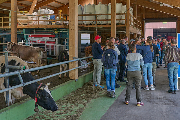 Un groupe de personnes dans une étable, avec une vache au premier plan.