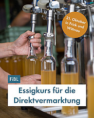 Hände an Essigflaschen in einer Abfüllanlage.
