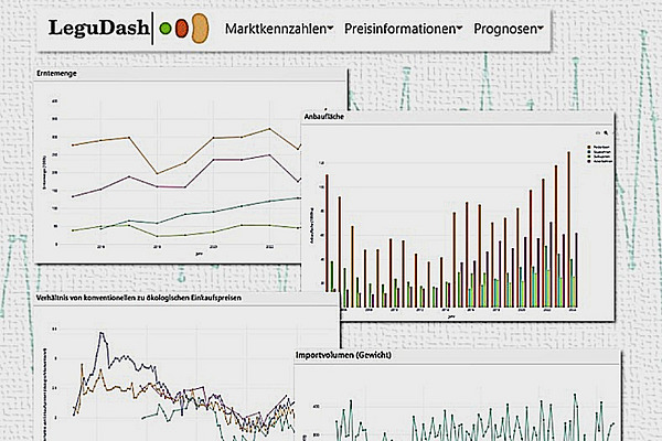 Grafiken in einem Dashboard.