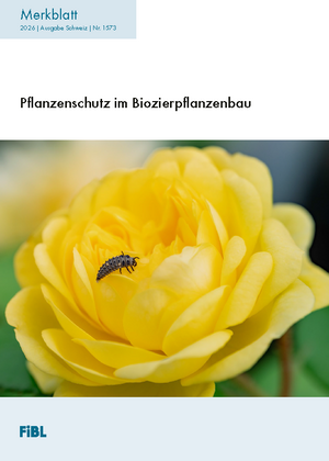 Pflanzenschutz im Biozierpflanzenbau