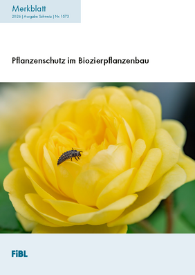 Pflanzenschutz im Biozierpflanzenbau.