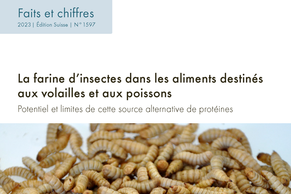 Cover: La farine d’insectes dans les aliments destinés aux volailles et aux poissons 