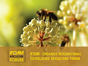 Biene auf Blüte und Ifoam Apiculture Forum Logo