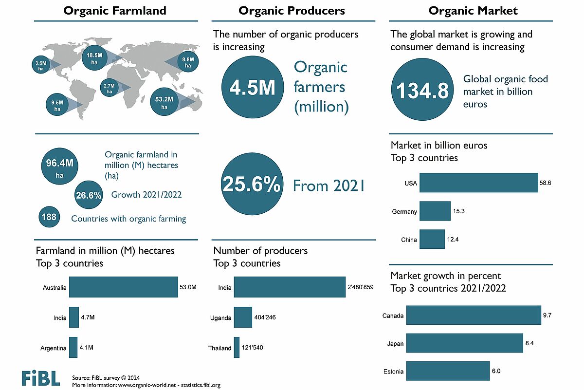 Global organic area grows more than ever before