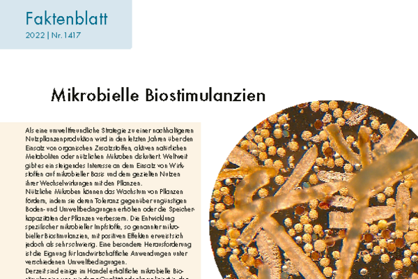 Cover: Mikrobielle Biostimulanzien